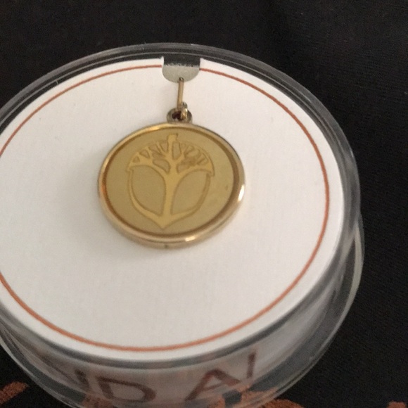 Alex and Ani Unexpected Miracles necklace charm - Picture 2 of 3